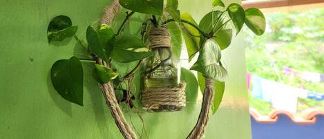 A green wall with a decorative plant arrangement.