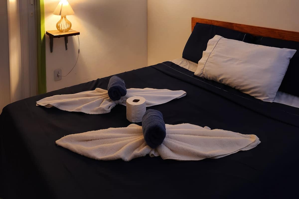 A hotel room with a bed, a wall-mounted air conditioner, a framed picture, a bedside lamp, and a green-framed door.