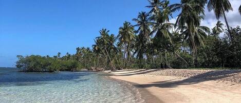 Camastros y toallas de playa