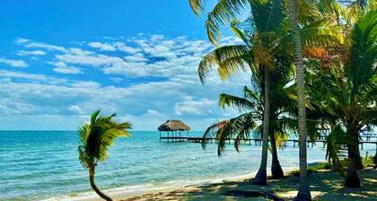 All-inclusive Oceanfront Villa: 7 bedrooms-7 bathrooms-sleeps 16+!