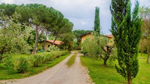 Un chemin de gravier mène à une rangée de maisons dotées d’un jardin et d’arbres.