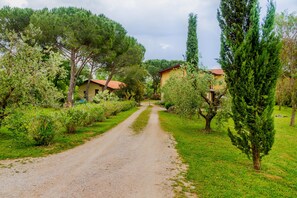 Área da propriedade