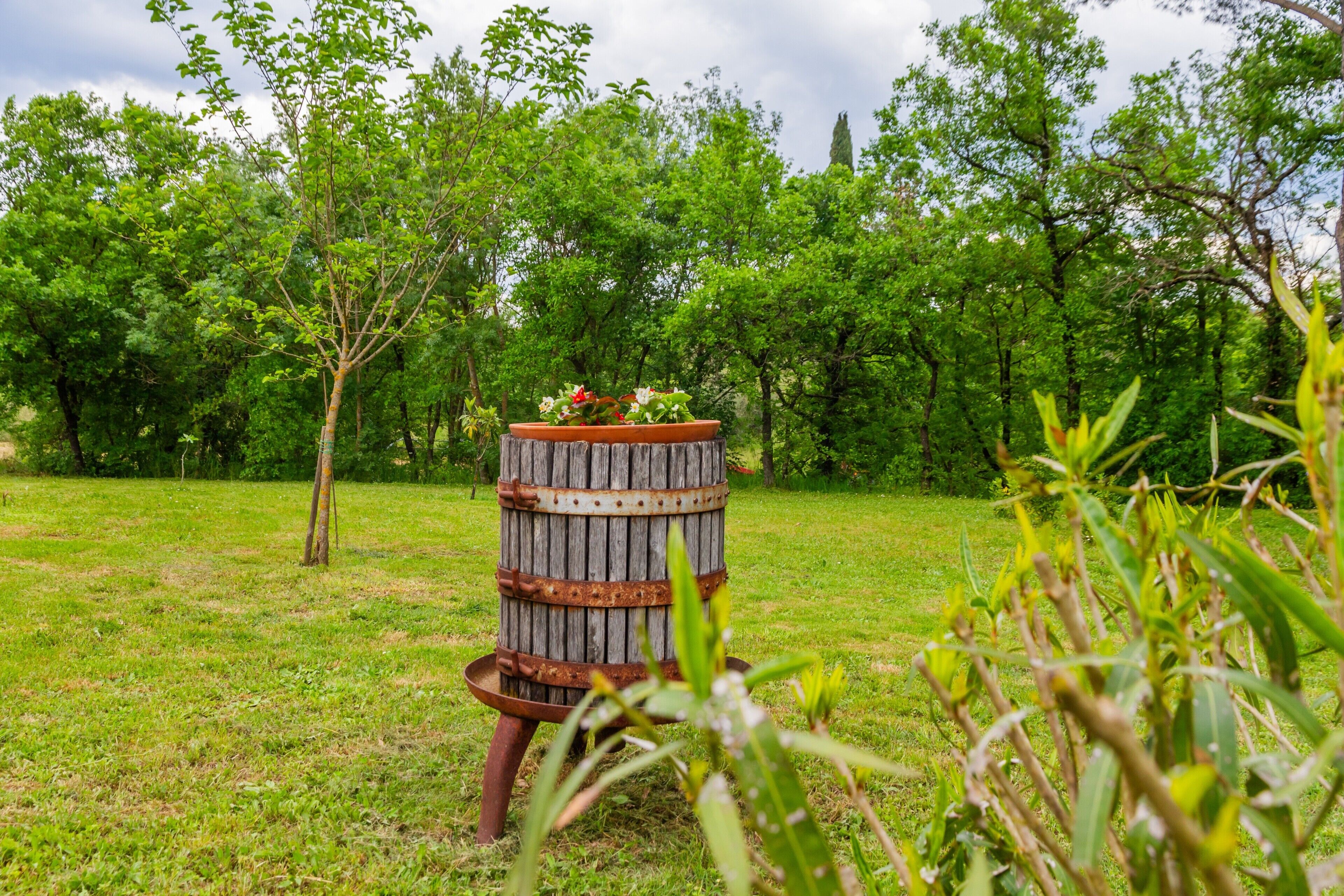 Parco della struttura