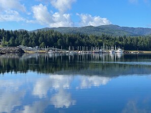 A calm lake with boats docked at a pier, surrounded by dense forest and mountains.