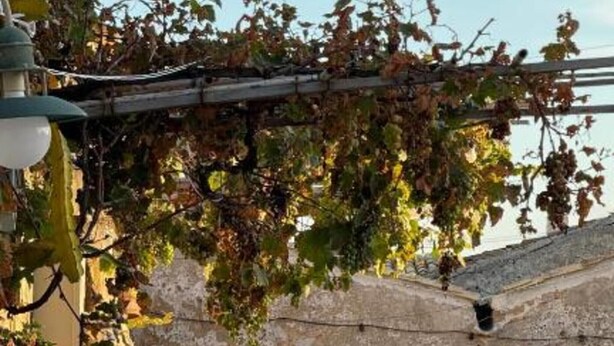 An outdoor patio with stone walls, a pergola with vines, and a table with chairs. - Apartment 'Casa Marsilla' with Private Terrace and Wi-Fi (Marzamemi)