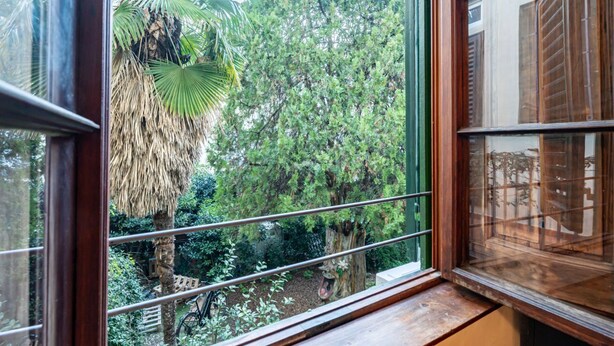 A window with a view of a lush garden, including a palm tree and dense foliage.