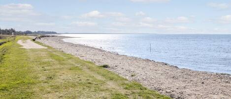 Playa en los alrededores y pesca