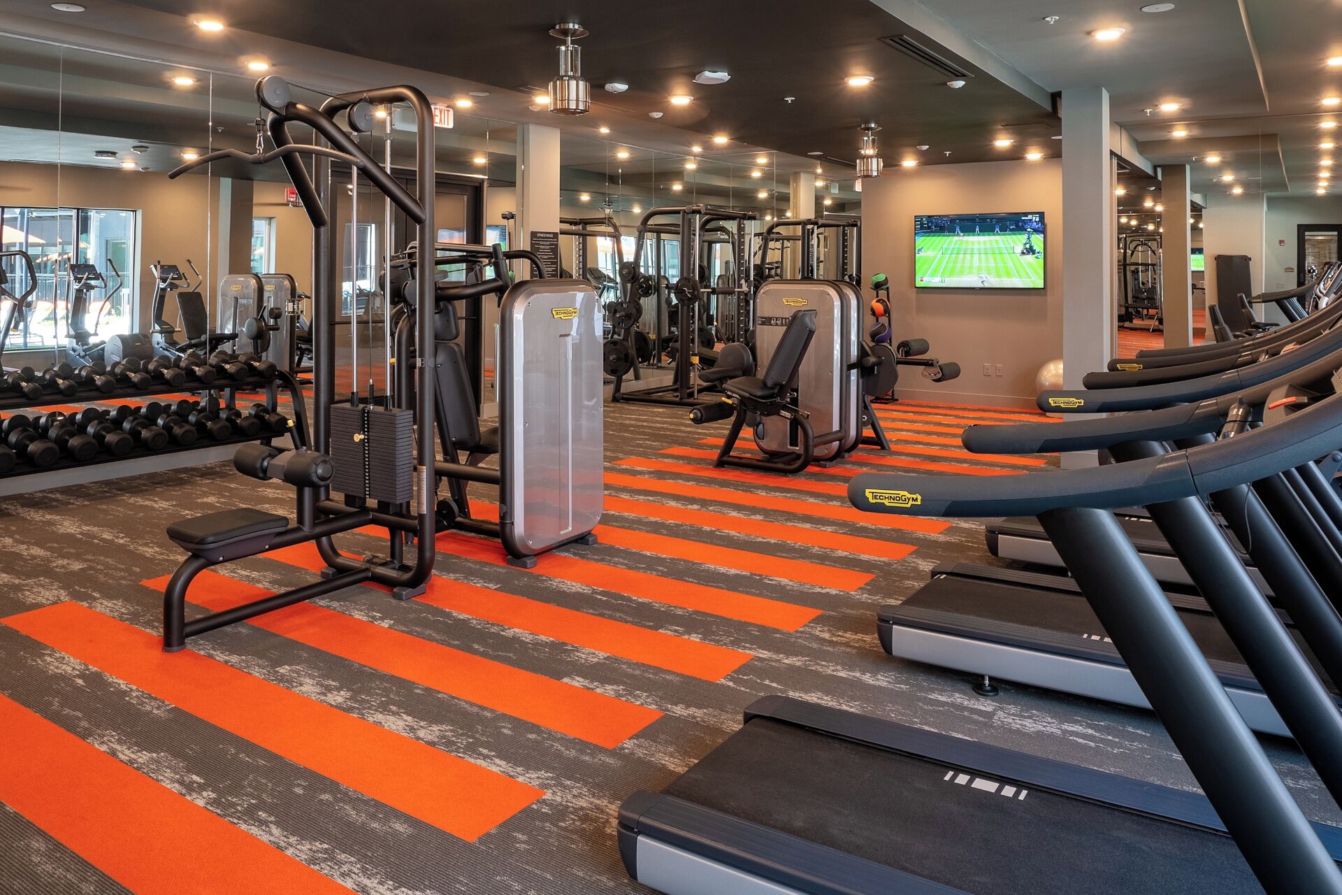 A gym with treadmills, weight machines, and dumbbells.