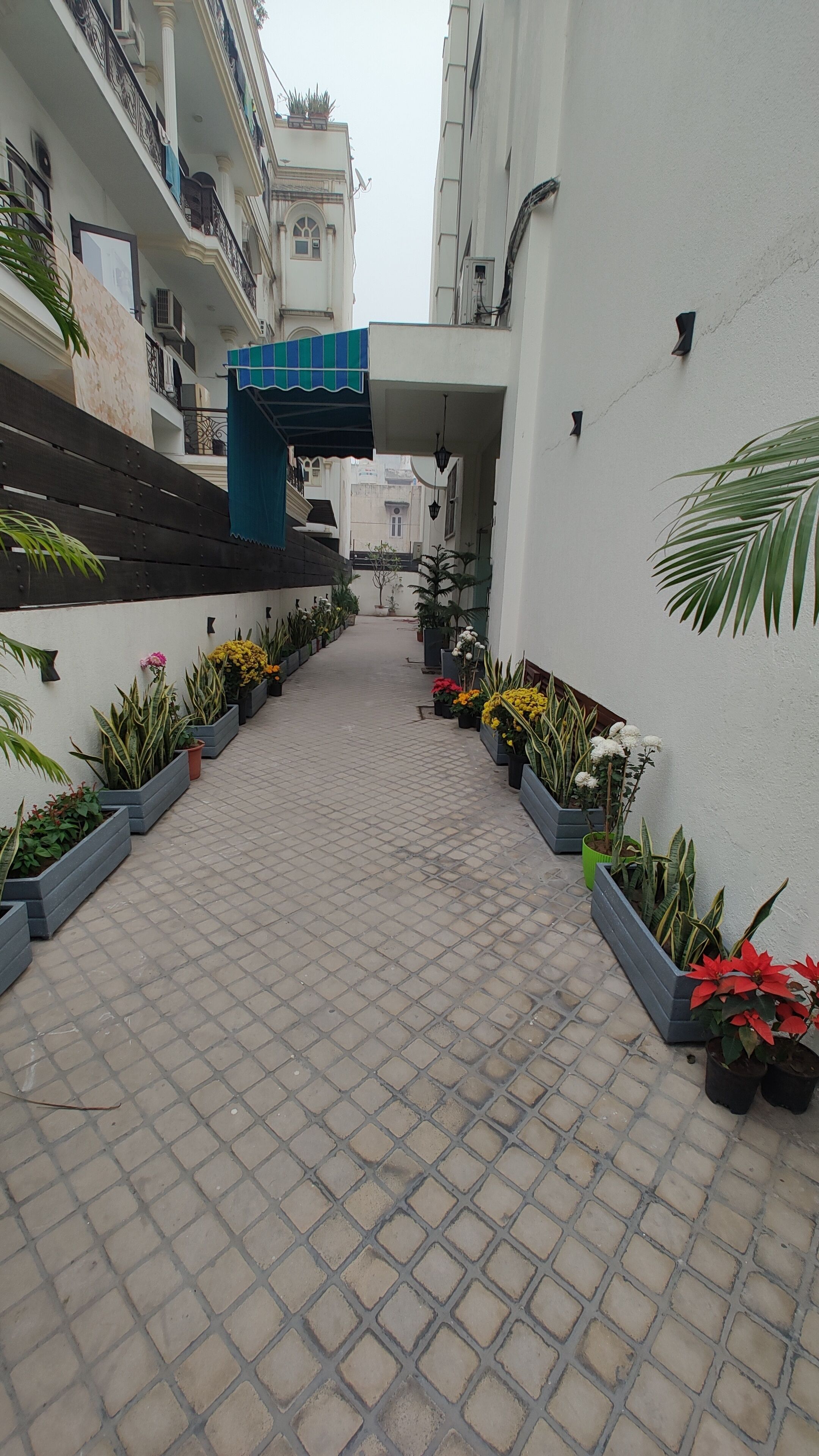 Foto - Saltstayz Select - Nehru Place & New Friends Colony