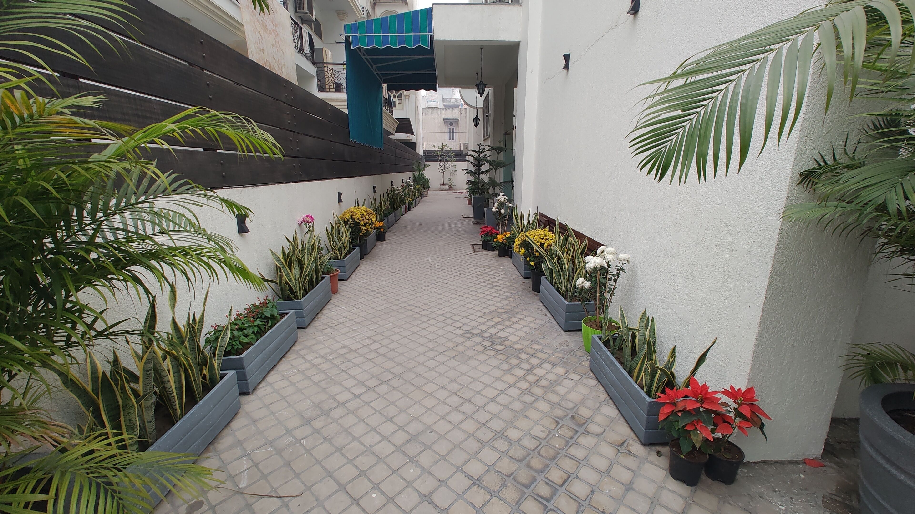 Foto - Saltstayz Select - Nehru Place & New Friends Colony