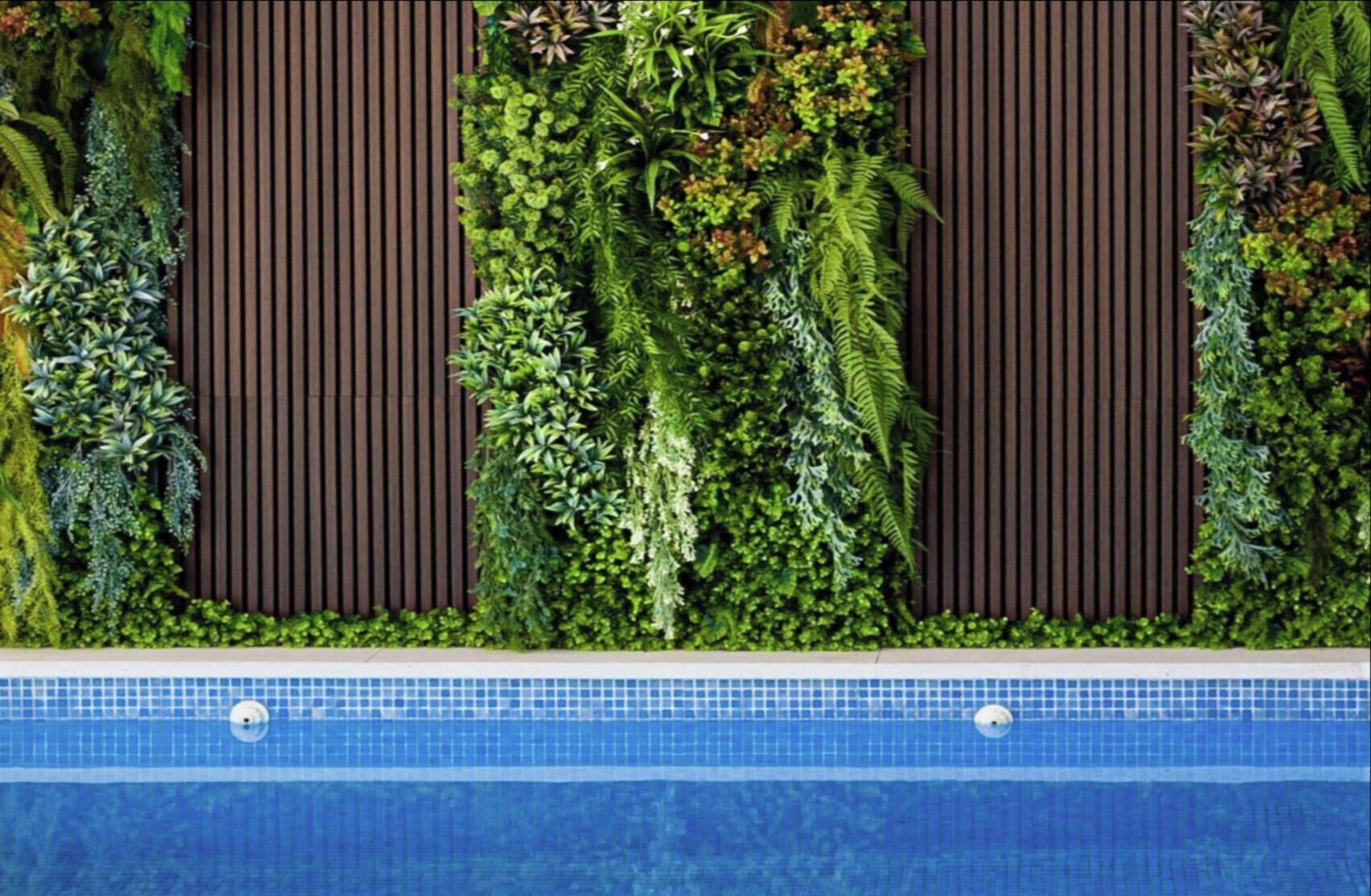 A pool with a tiled edge and a vertical garden with various plants and ferns.