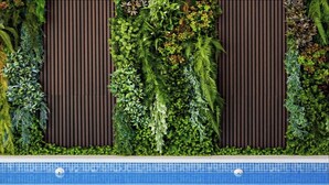 Una piscina con borde de azulejos y un jardín vertical con diversas plantas y helechos.