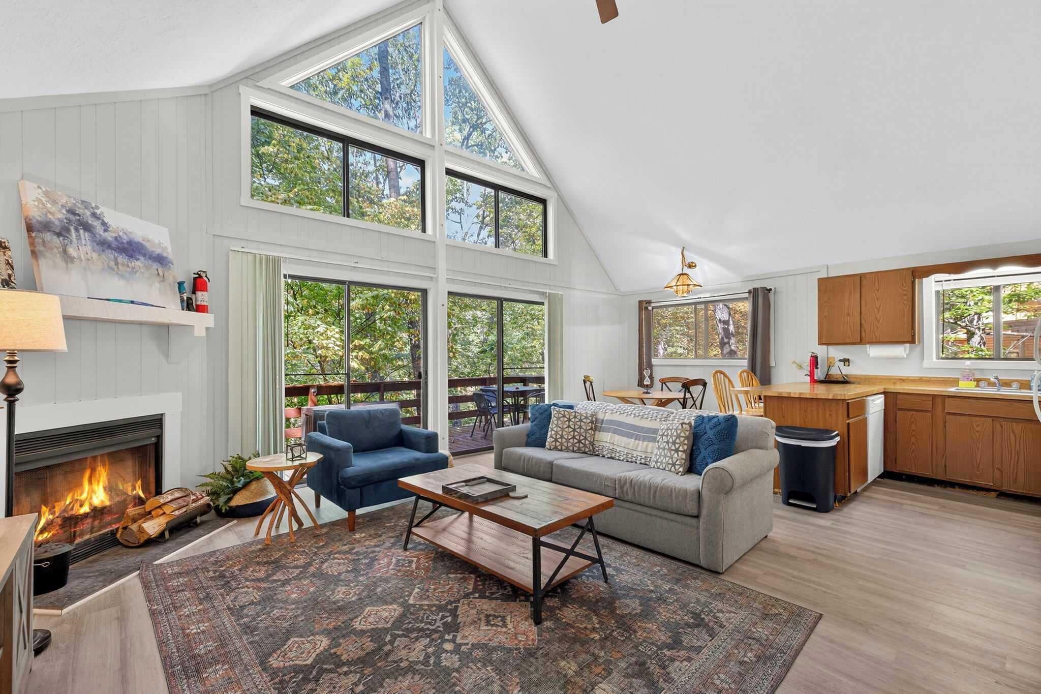 TV, fireplace, books, stereo