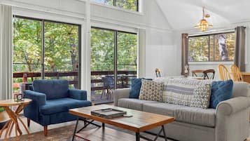 Télévision, cheminée, livres, chaîne hi-fi