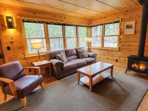 Télévision, cheminée, espaces bureaux