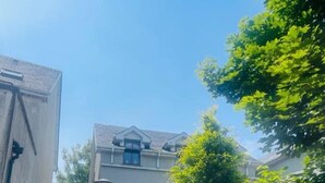 Een smalle straat met een gebouw van twee verdiepingen, een boom en een lantaarnpaal.
