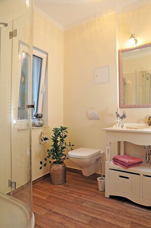 Ducha, secador de pelo, toallas