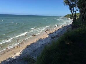 A coastal beach with a rocky shoreline and trees.