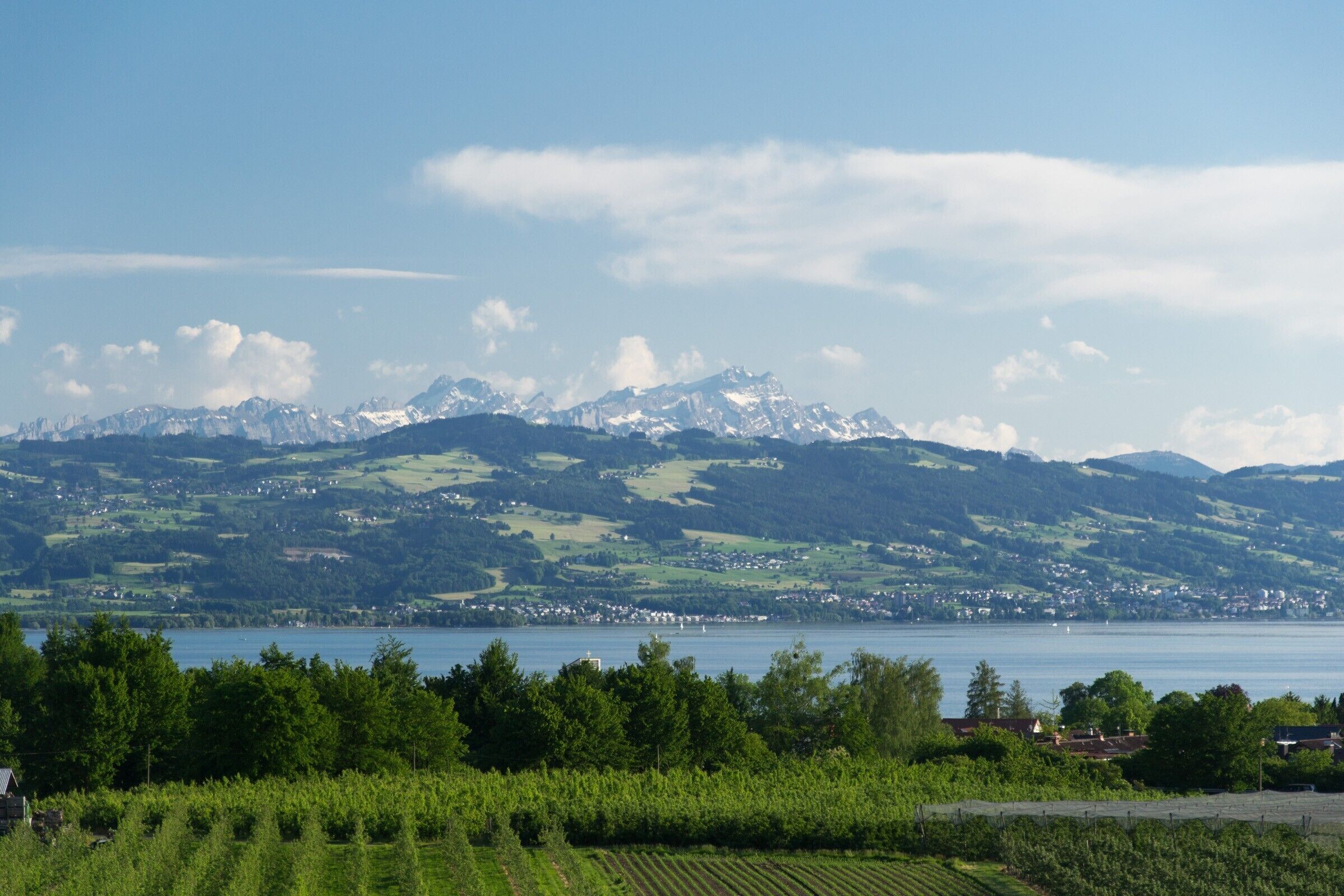 A mountainous landscape with a lake and vineyards.