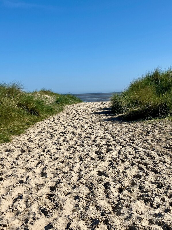 Un sentier sablonneux menant à la plage, avec de l’herbe de chaque côté.
