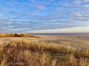 Une plage de sable avec des touffes d’herbe sèche, un ciel dégagé et un horizon lointain.