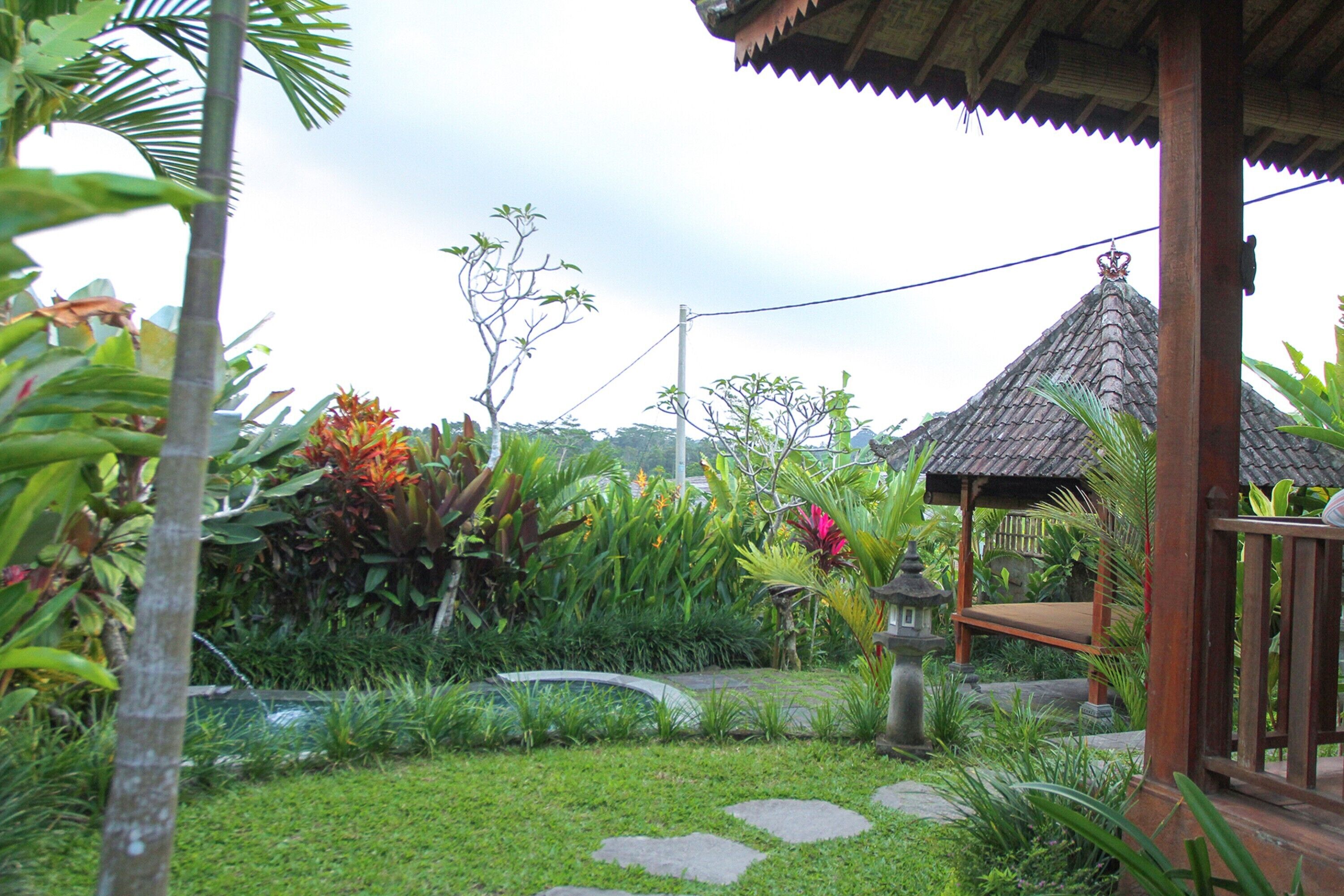 Un jardín con un pabellón, senderos de piedra y plantas tropicales.