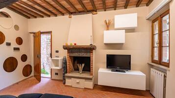 TV, fireplace