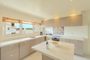 A modern kitchen with a large island, built-in appliances, and a view through the window.