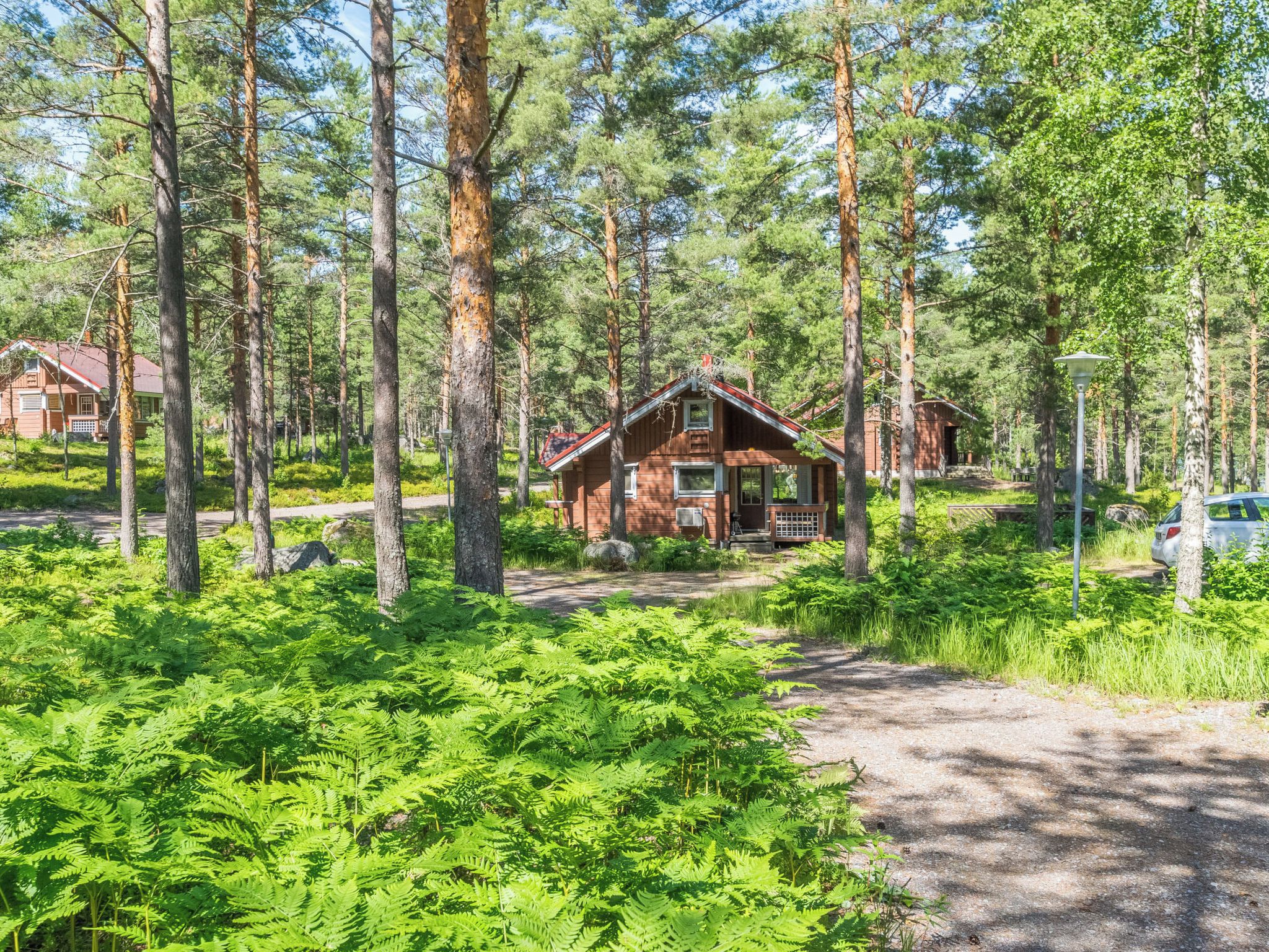Eksteriør