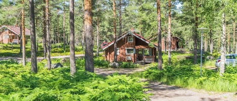 A cabin surrounded by tall trees and ferns, with a gravel path leading to it.