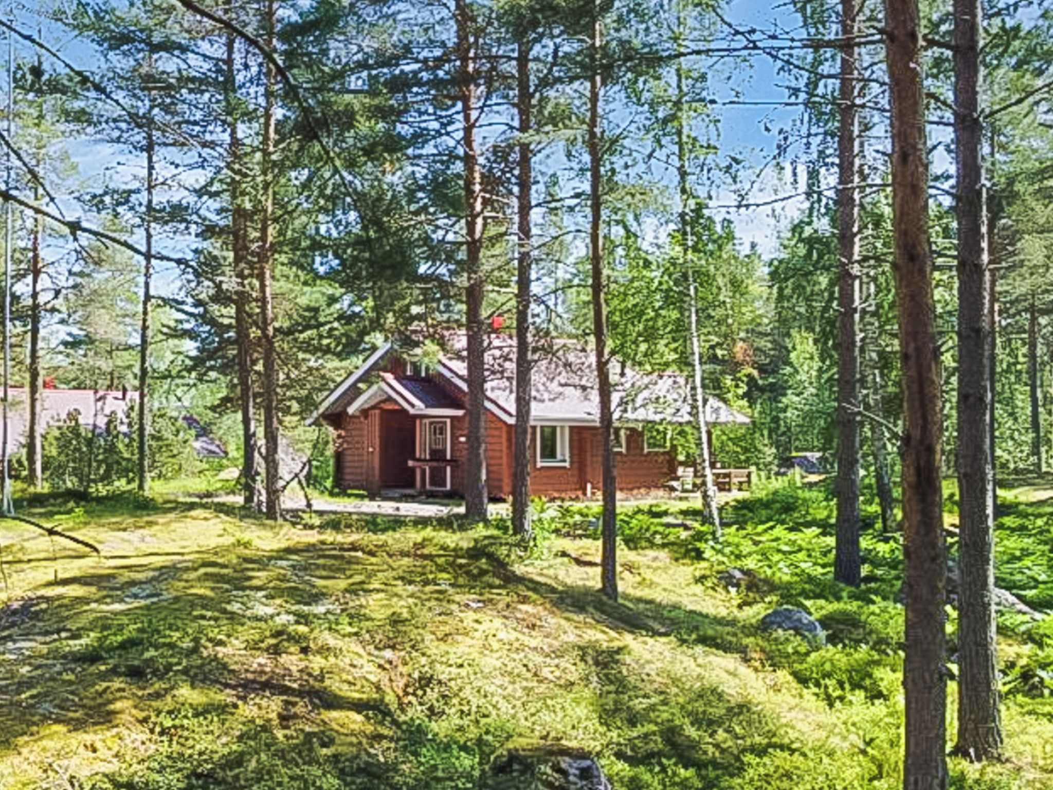Metsäisellä alueella sijaitseva mökki, jonka ympärillä on korkeita puita.