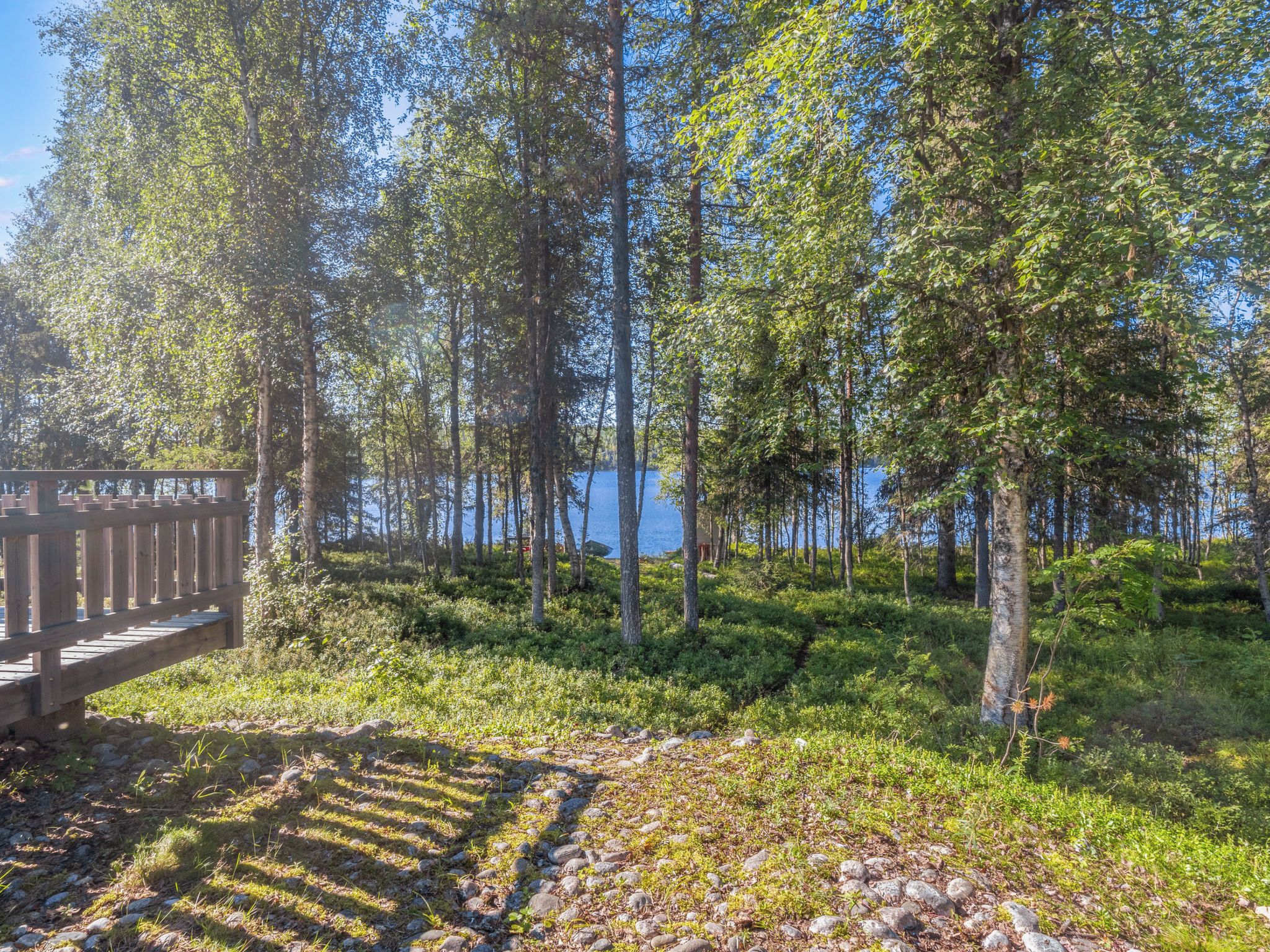 A forested area with a wooden bridge leading to a body of water.
