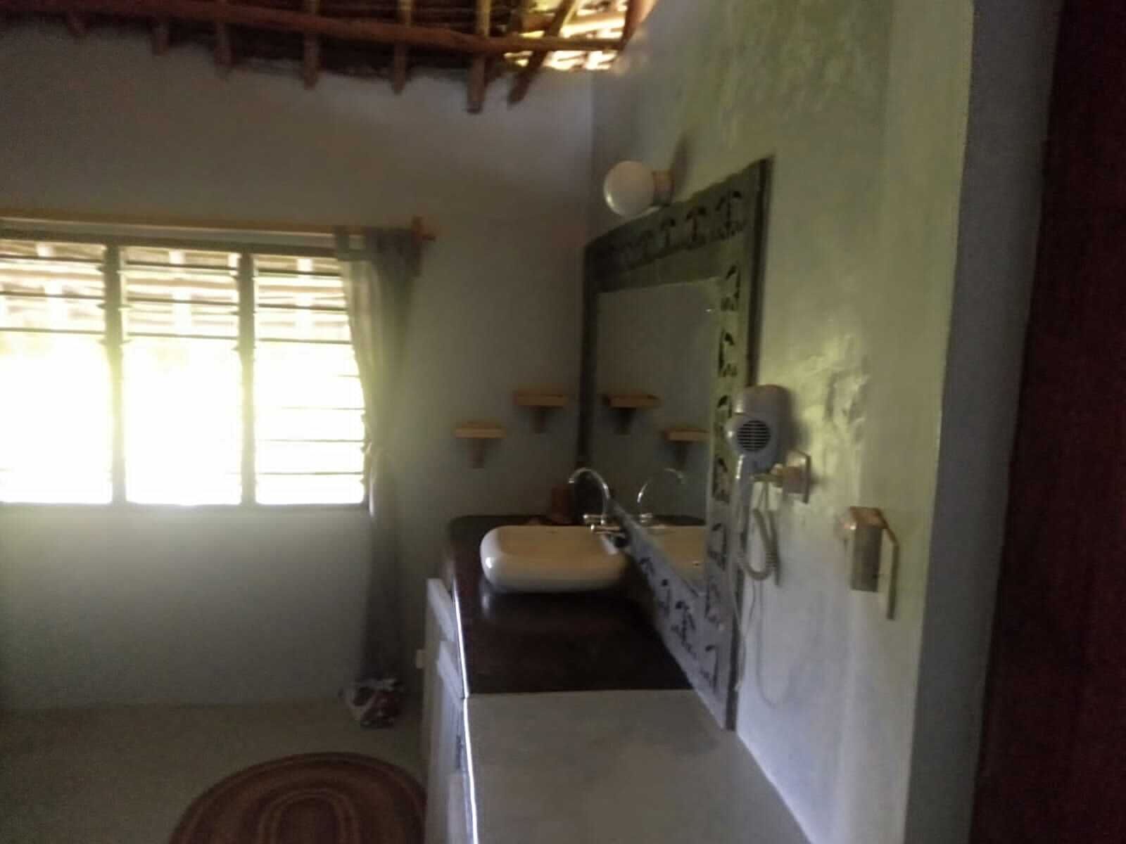 A bathroom with a sink, mirror, and hairdryer.