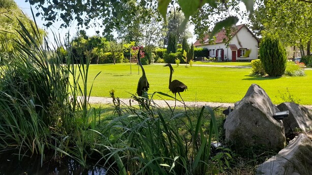 Ein friedlicher Garten mit zwei Straußen, einem Teich und einem weißen Gebäude mit rotem Dach im Hintergrund.