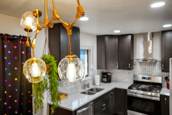 Private kitchen - Insta-Worthy 5BR Home I Pet Friendly I Firepit (Denver)