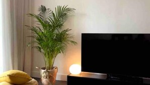 A living room with a flat-screen TV, a potted plant, and a yellow cushion. - NEW SOHO 13 - TOP Center, black & white (Sofia)