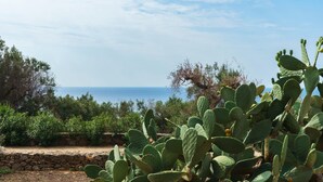 A garden with cacti and a stone wall. - Villa Donna Eleonora - Alloggio Stella Marina (Morciano di Leuca)