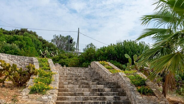Eine Treppe aus Stein, die einen Hügel hinaufführt, umgeben von Grünpflanzen und einer Palme.