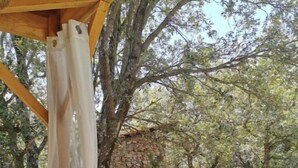Eine Holz-Pergola mit weißem Tuch, eine Steinmauer und eine rustikale Außenlandschaft mit Bäumen und Felsen.