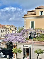 A street view with a pharmacy, a building with a yellow facade, and purple wisteria flowers.