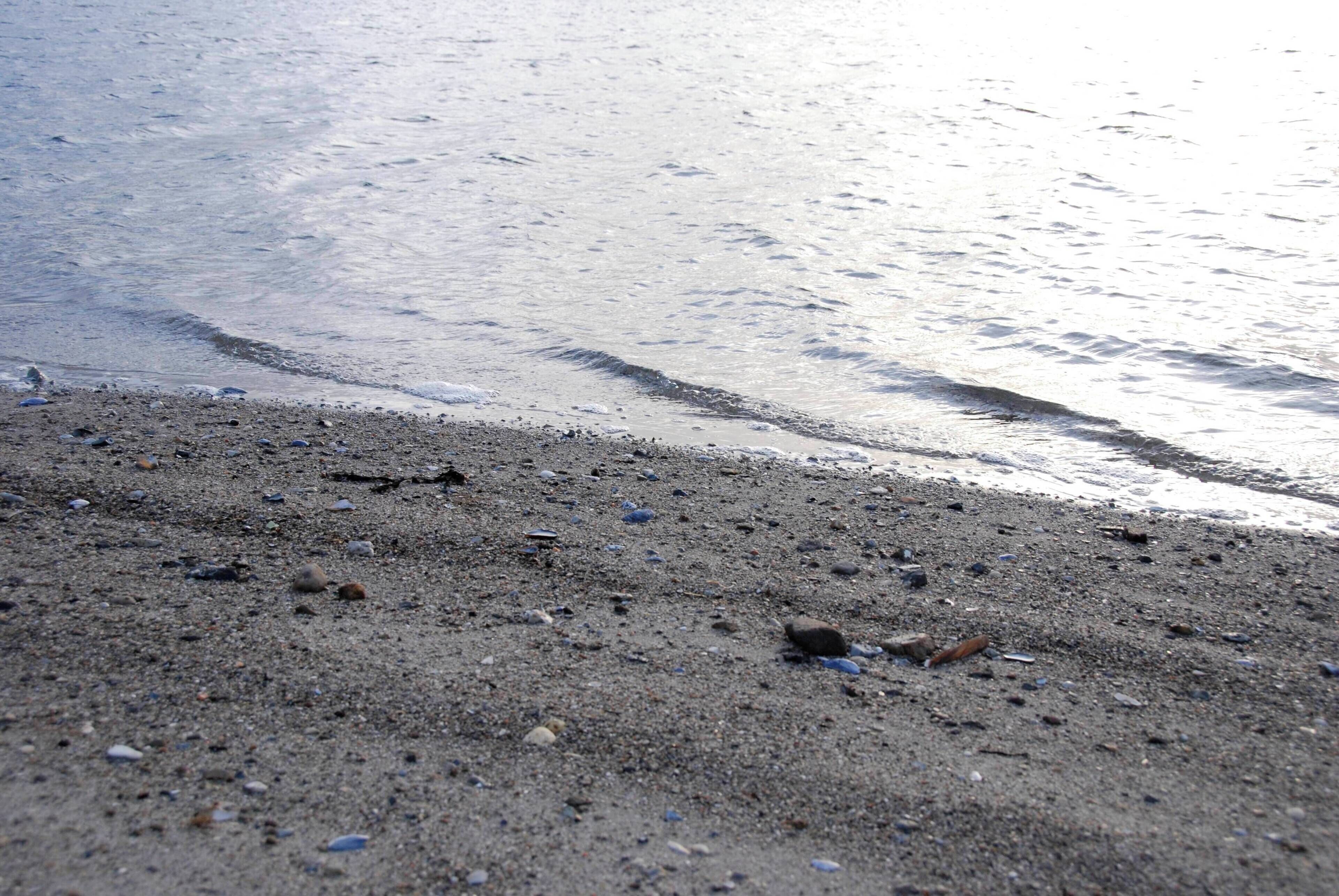 전용 해변, 백사장