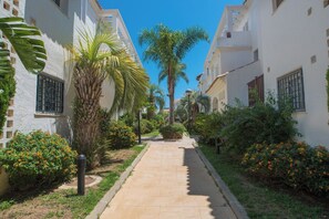 Un sendero estrecho bordeado por edificios blancos con ventanas y puertas, que conduce a una palmera central.