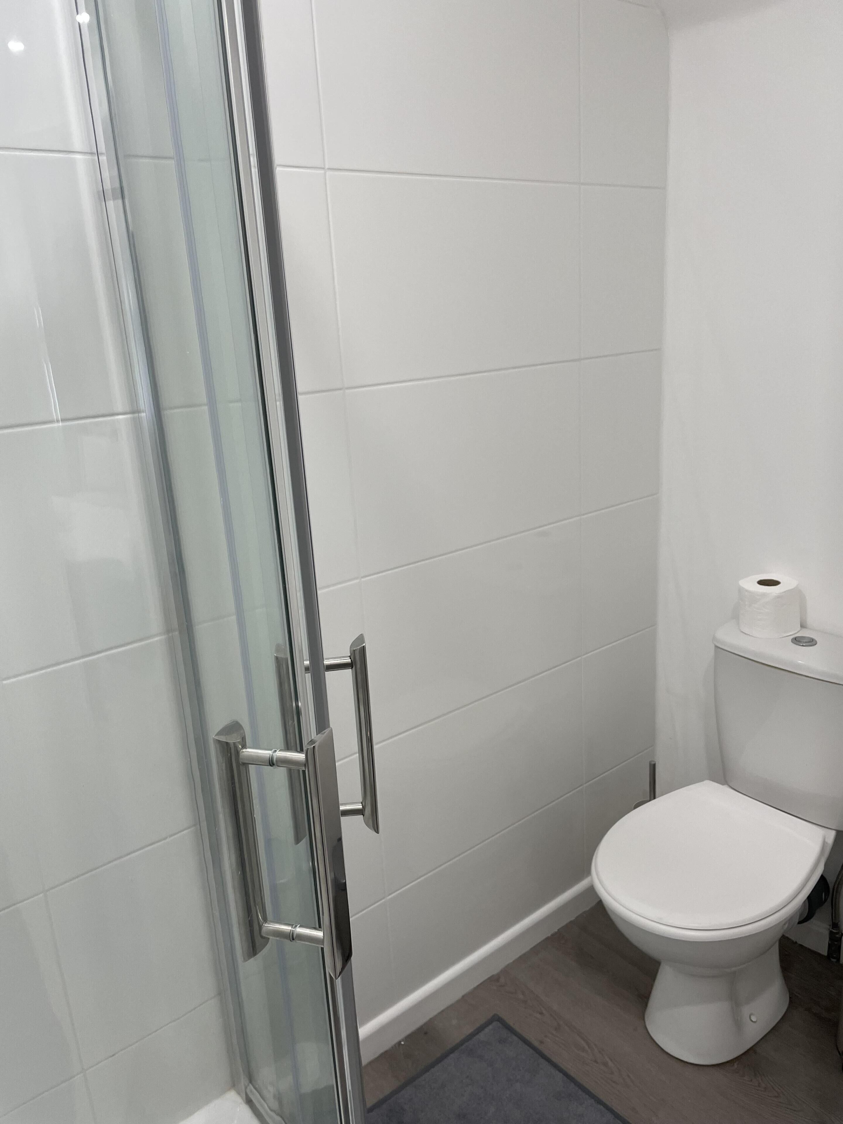 A bathroom with a glass shower enclosure, a white toilet, and a roll of toilet paper on the tank.