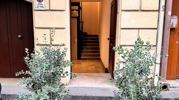 A building entrance with a staircase leading to an interior, flanked by two potted plants. - Cassari Cottage (Palermo)