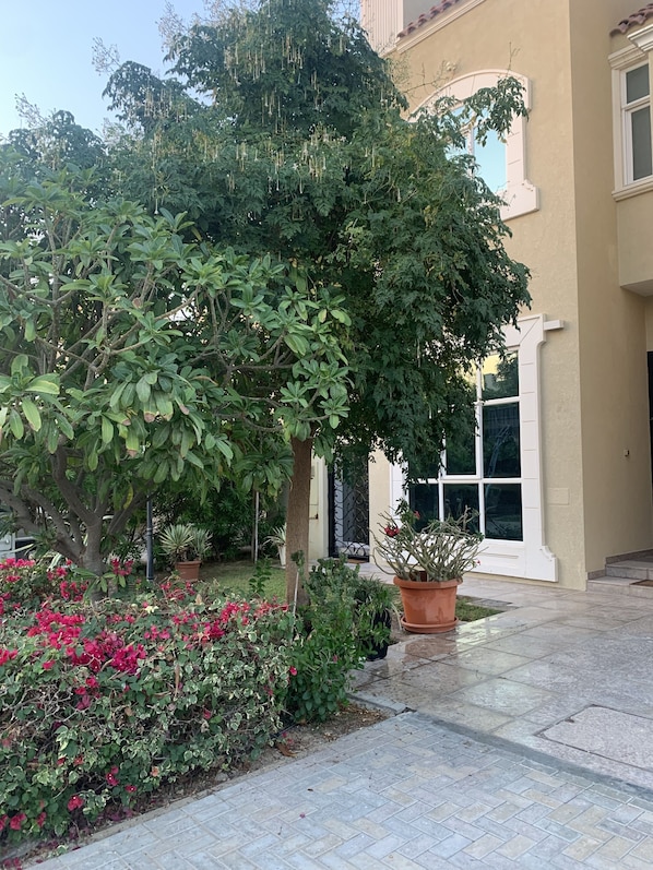 Apartment | Property grounds - Charming and Cozy Apartment in Dubai Available now (Dubai)