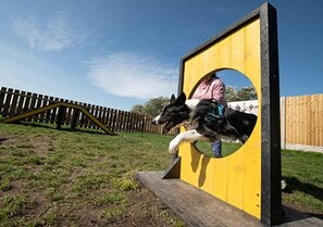 Ferienhütte | Unterkunftsgelände