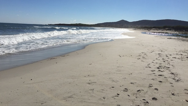 Una playa con olas, cielo despejado y montañas a lo lejos.