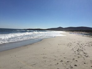 Sun-loungers, beach towels