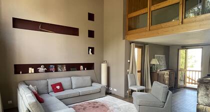 Chalet 14 personnes Montchavin avec vue sur le Mont-Blanc!