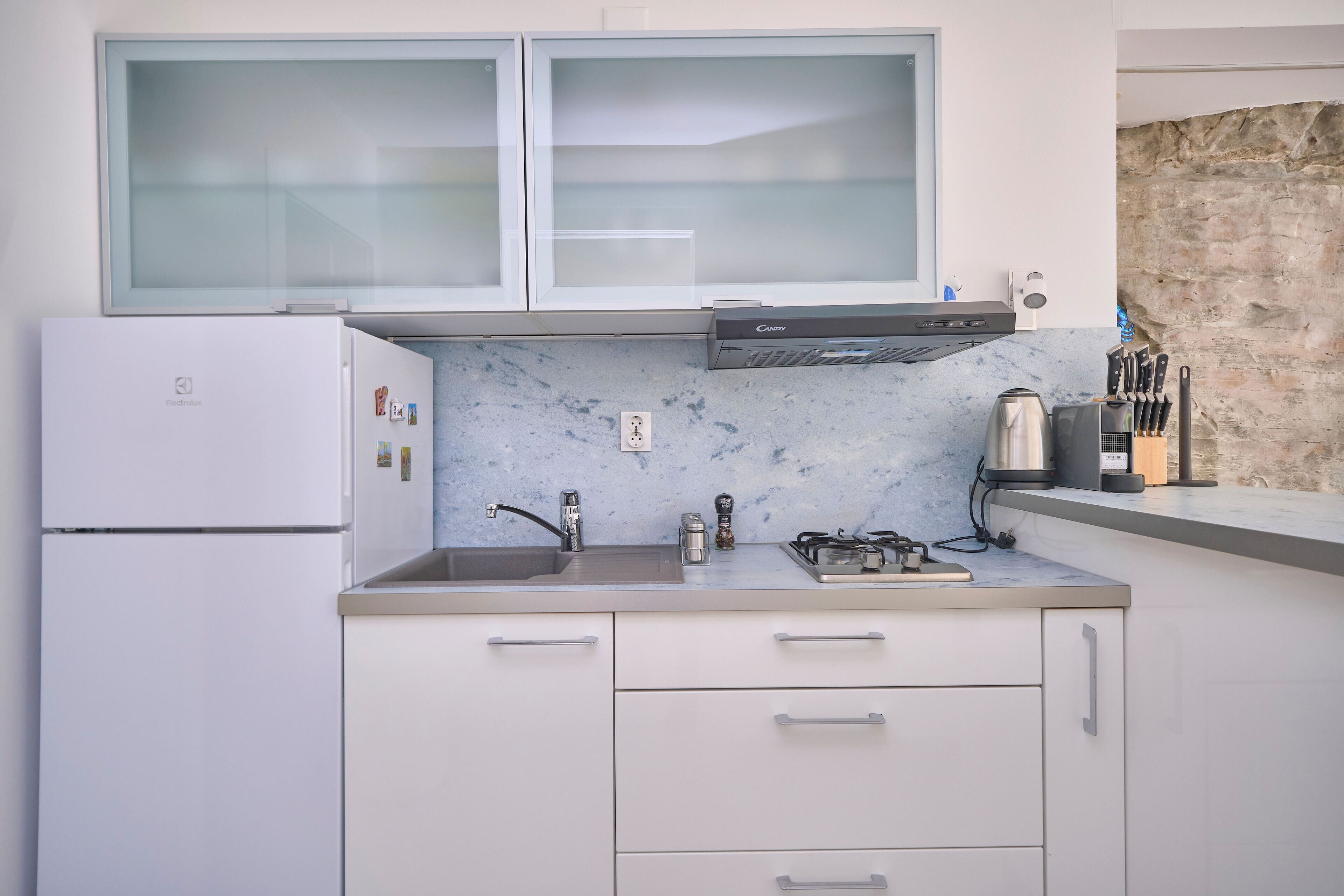 A modern kitchen with a built-in refrigerator, a double sink, and a gas stove.